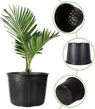 Load image into Gallery viewer, Thickened Soft Plastic 5 Gallon Nursery Pots - 12 Pack with Plant Tags &amp; Tools