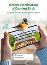 Load image into Gallery viewer, Solar Powered Bird Feeder with AI Camera - Capture Bird Moments in 1080P HD
