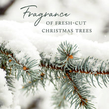 Load image into Gallery viewer, Pack of 2 Frasier Fir Pura Smart Diffuser Refills - 350 Hours of Luxury Aroma