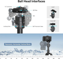 Load image into Gallery viewer, Compact 20" Aluminum Tripod with 360° Versatile Ball Head &amp; Smartphone Holder