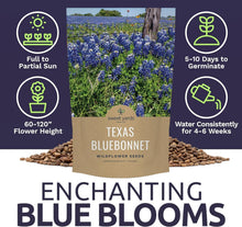 Load image into Gallery viewer, Texas Bluebonnet Wildflower Seeds - 1 lb Bulk for Vibrant Gardens - 16,000 Seeds