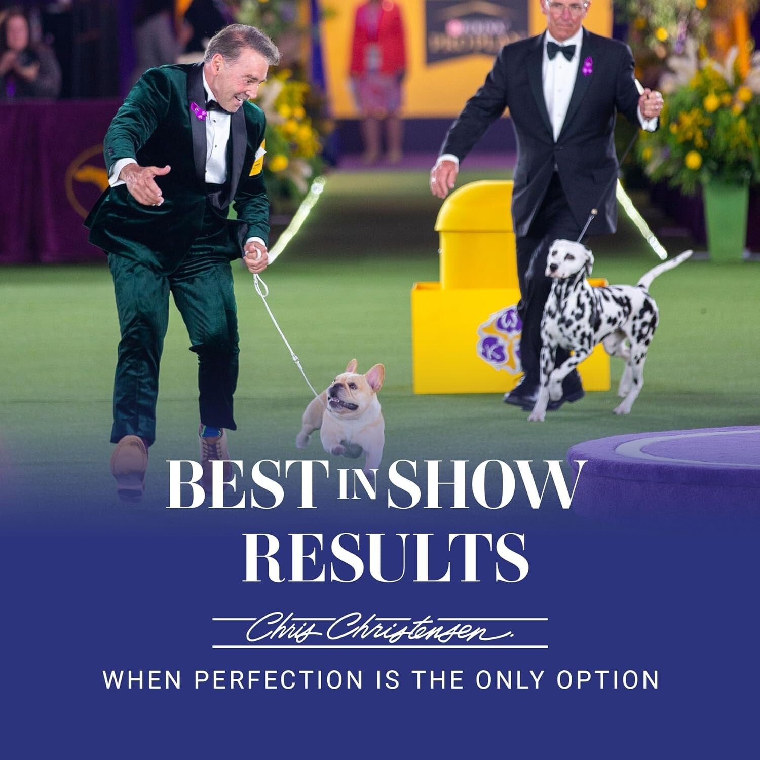 Ergonomic 4-Piece Grooming Shears Set with Convex Blades for Smooth Finishes