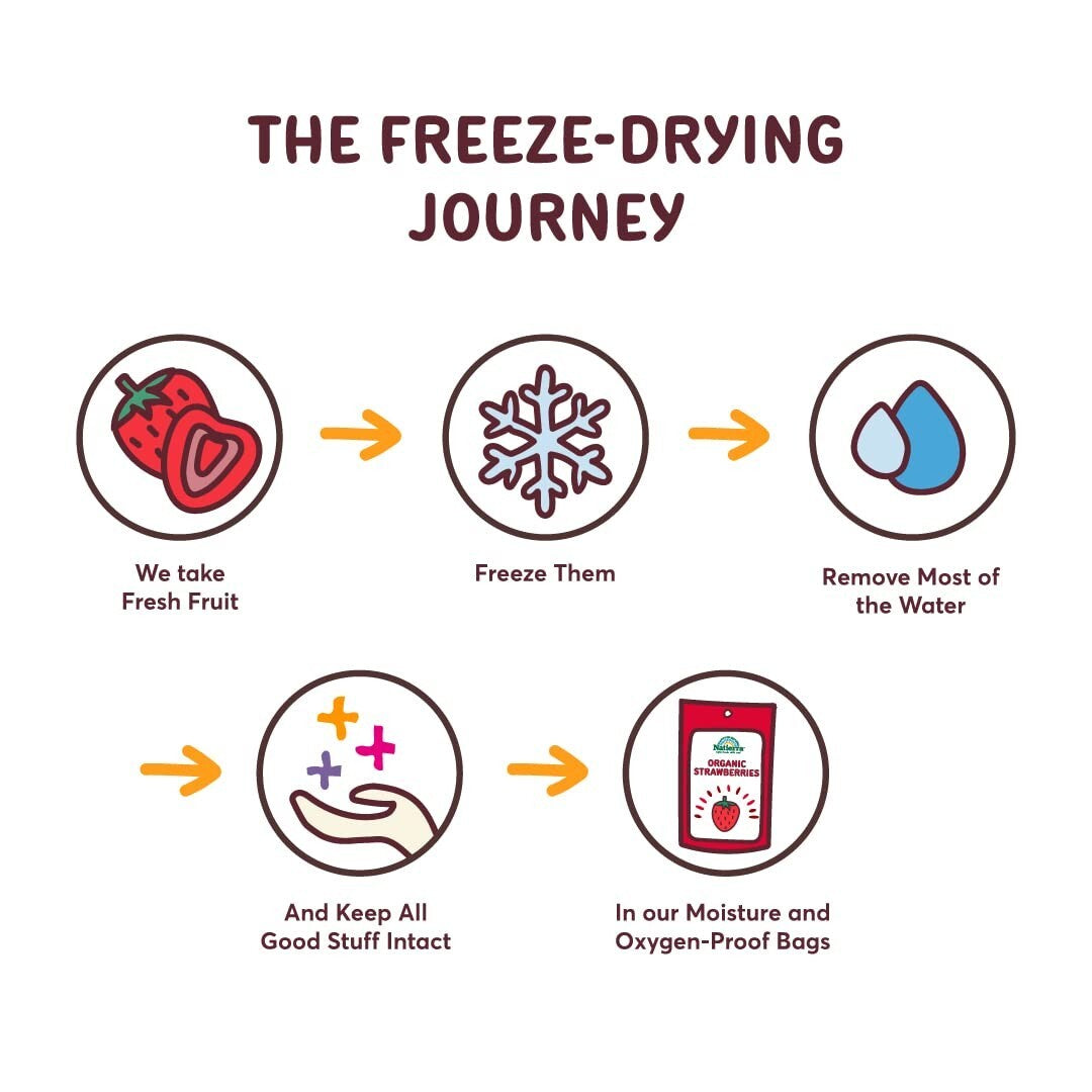 Delicious Freeze-Dried Organic Blueberries - Guilt-Free Vegan Pack (12 x 1.2 oz)