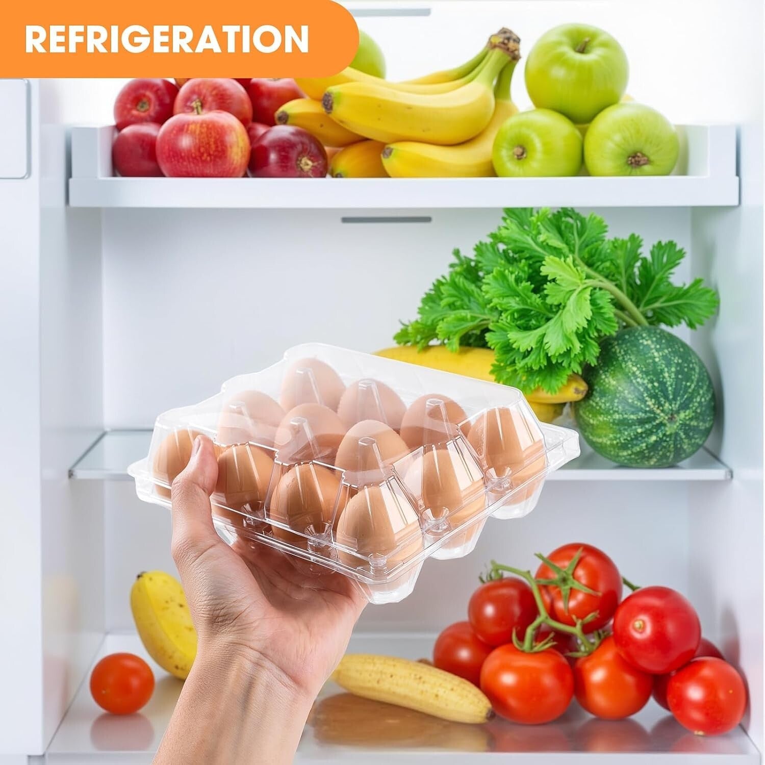 Eco-Friendly 12 Count Egg Cartons - 160 Clear Plastic Trays for Fresh Eggs