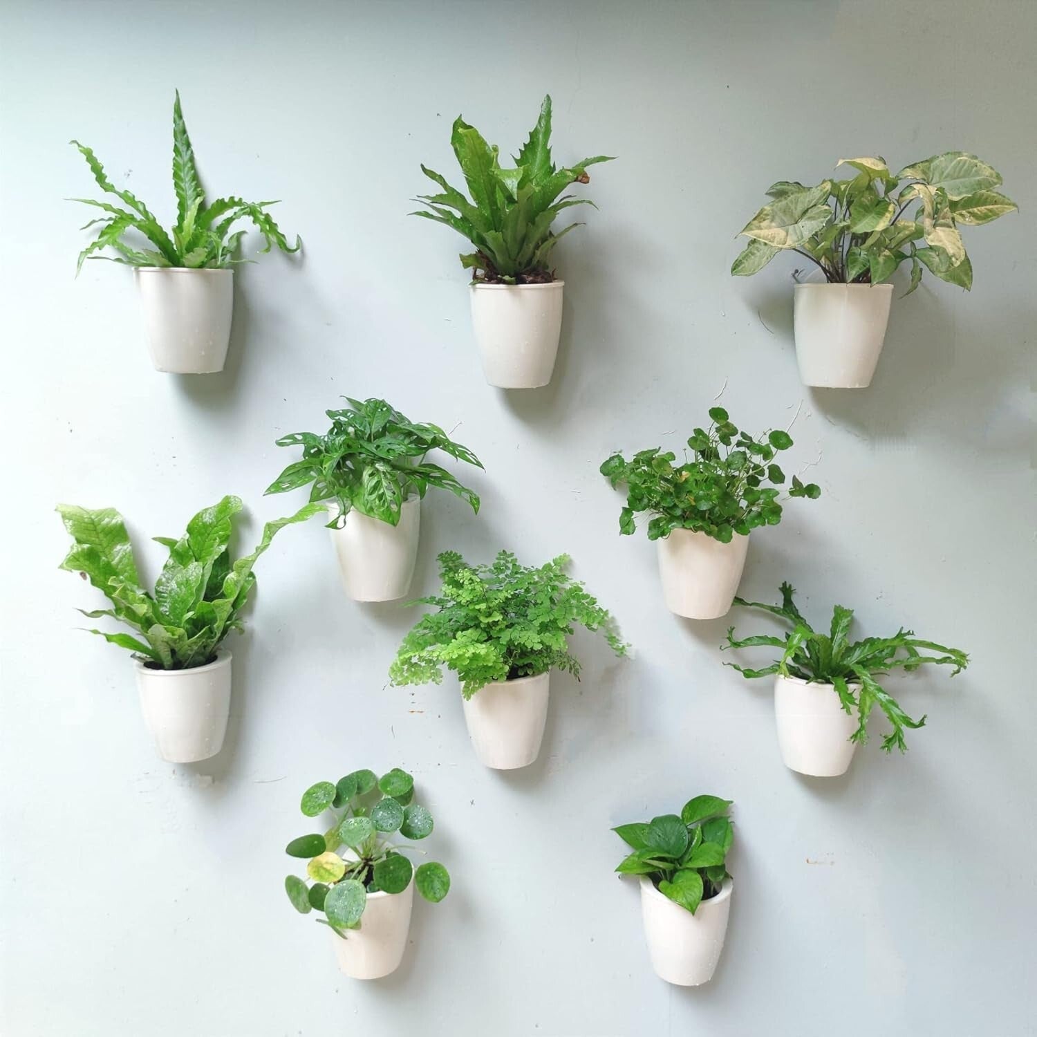 10-Pack Self-Watering Vertical Wall Planters for Stylish Indoor Herbs, 5"