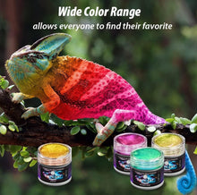 Load image into Gallery viewer, 40 Color Shifting Mica Powder Set - Holographic Pigments for Resin Artistry