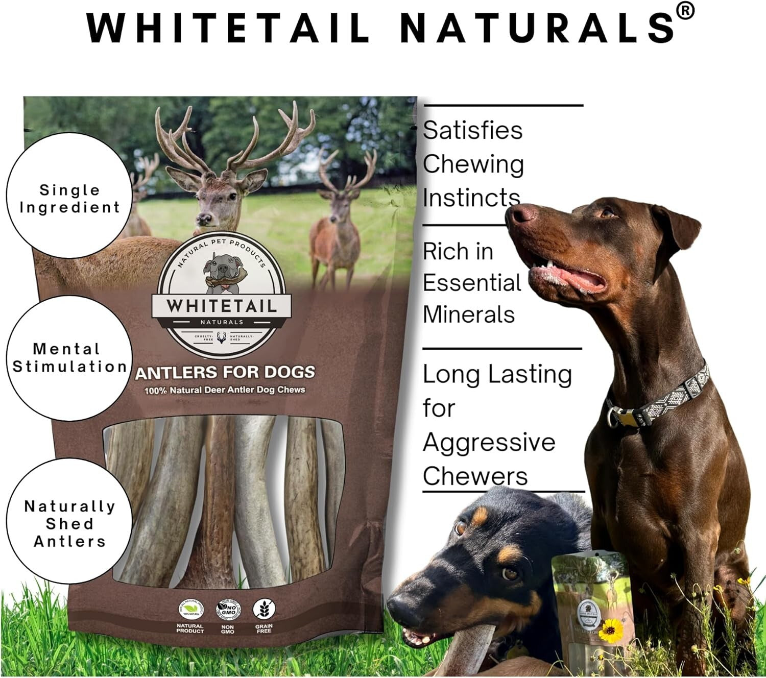 Odorless Antler Dog Chews Set - 3 Pack of Long-Lasting Chews for Large Breeds