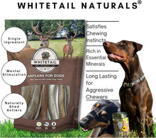 Load image into Gallery viewer, Odorless Antler Dog Chews Set - 3 Pack of Long-Lasting Chews for Large Breeds