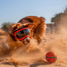 Load image into Gallery viewer, V2 X-Large Dog Goggles in Black - Protective Eyewear for Active Pups