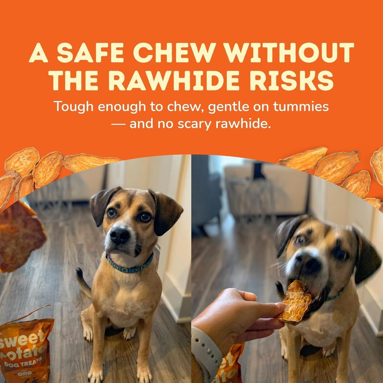 Healthy Sweet Potato Chews for Dogs - Grain-Free, Vegetarian Treats - 2 lb Pack