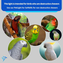 Load image into Gallery viewer, Veterinary Approved Bird Cage Light - Simulates Natural Light for Healthier Pets