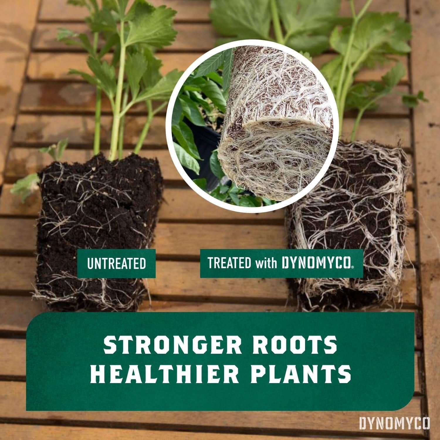 Mycorrhizal Inoculant for Healthy, Resilient Plants - Ready for Root Development