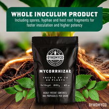 Load image into Gallery viewer, Mycorrhizal Inoculant for Healthy, Resilient Plants - Ready for Root Development