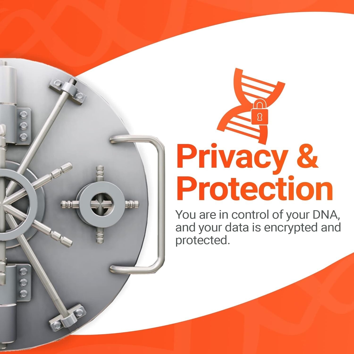 Discover Your Ancestry with DNA Test Kit - Family Finder for Genetic Roots