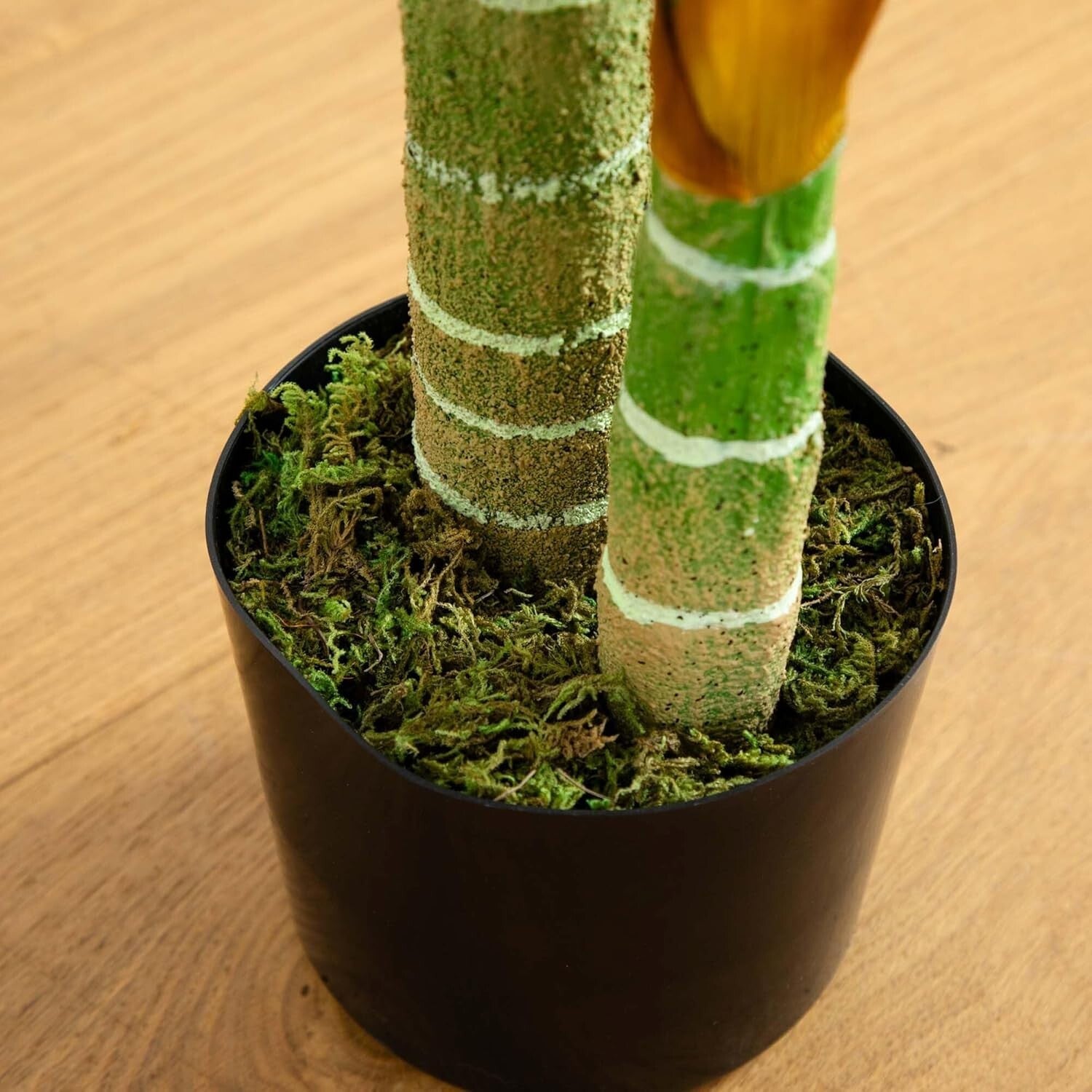 Elegant 4ft Golden Cane Palm Tree - Perfect for Home or Office Aesthetics