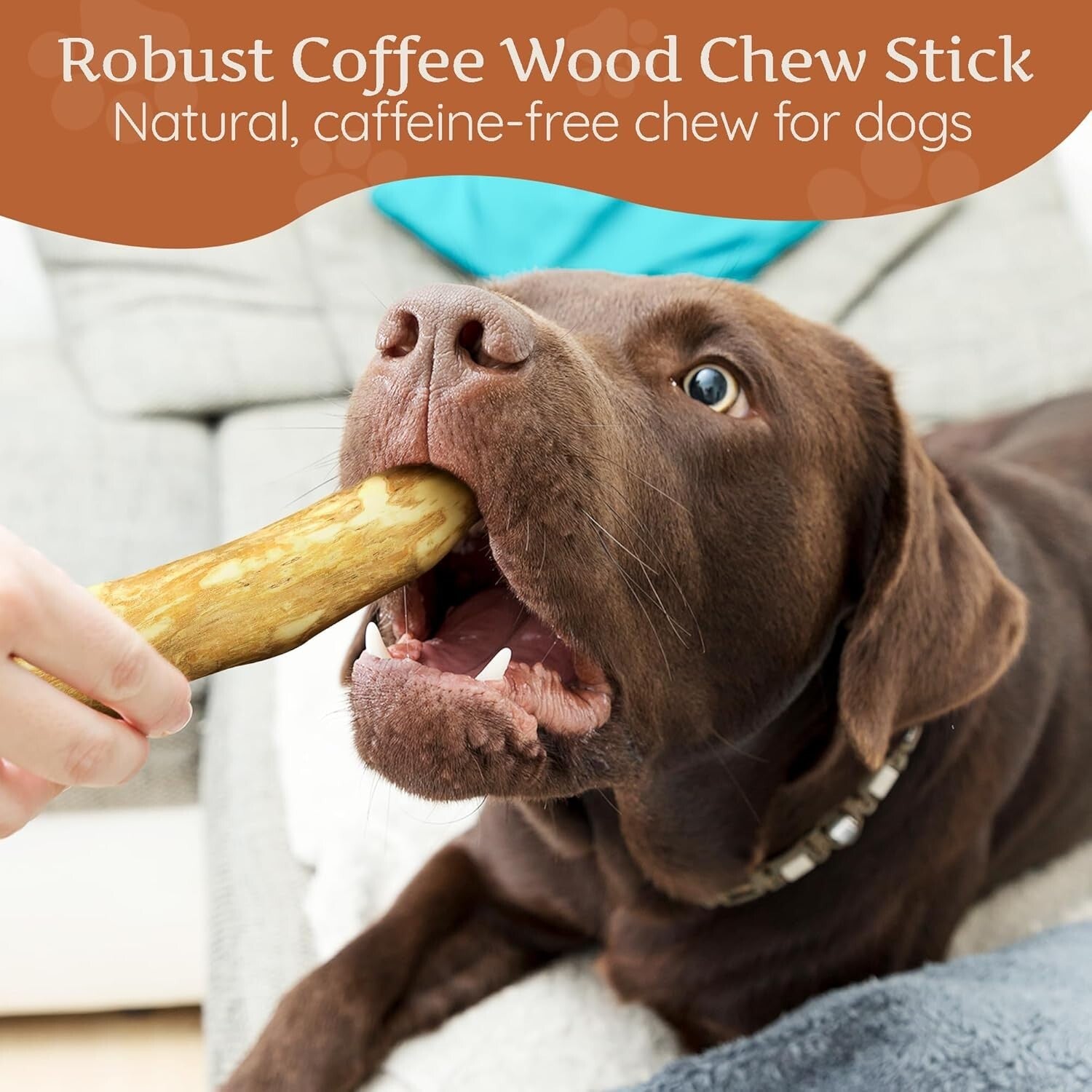 All-Natural Coffee Wood Chewing Toy Set of 3 - Promotes Healthy Chewing Habits