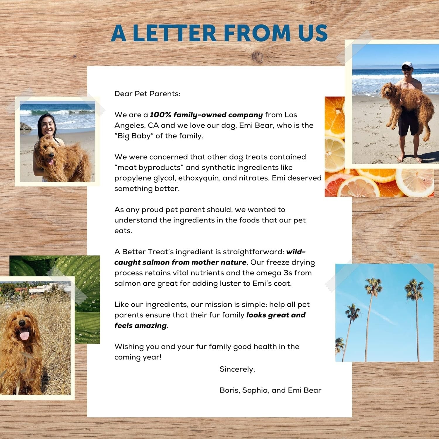 Sustainably Sourced Freeze Dried Salmon Treats - Healthy for Dogs of All Sizes