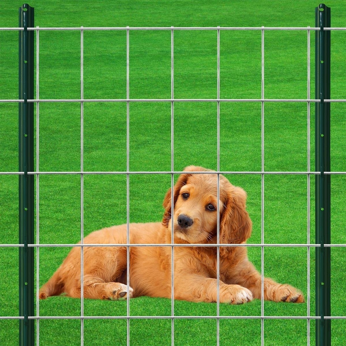Durable Galvanized Welded Wire Fence - 16GA 24" x 50' for Gardens & Livestock