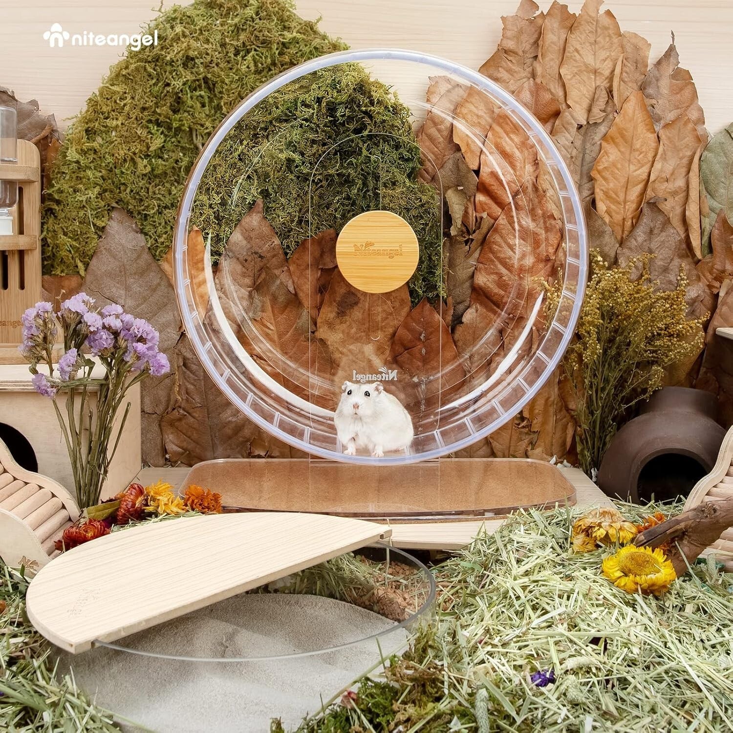 Extra Large Quiet Hamster Exercise Wheel with Adjustable Stand for Small Pets