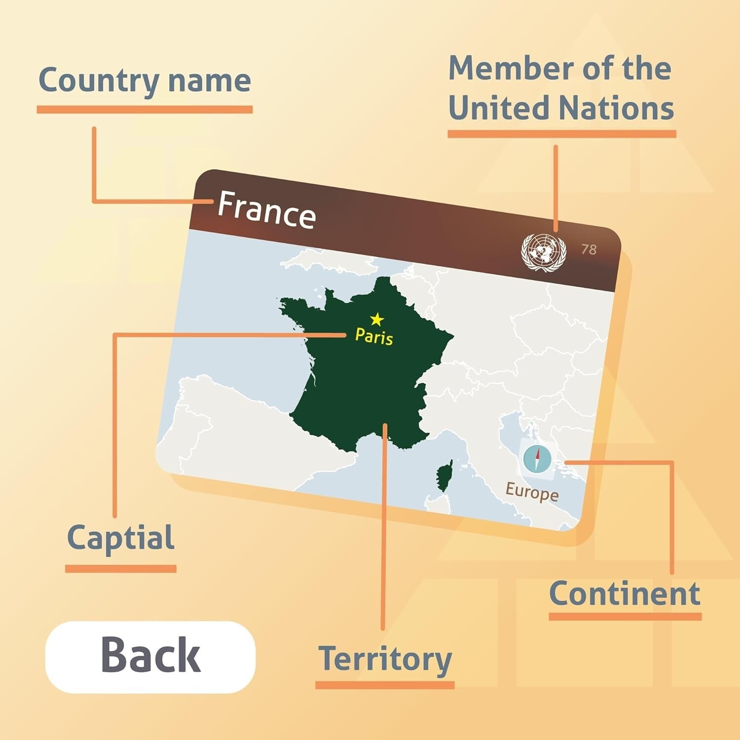 Durable Country Flags Flashcards Set - Perfect for Geography Lovers Ages 6+