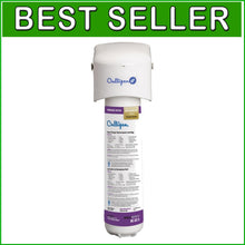 Load image into Gallery viewer, NSF Certified Inline Icemaker &amp; Refrigerator Water Filter System, 500 Gallon