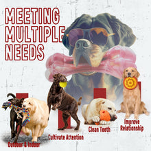 Load image into Gallery viewer, 12-Pack Heavy-Duty Dog Chew Toys for Aggressive Chewers - Ultimate Fun Set