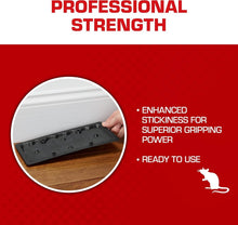 Load image into Gallery viewer, Pesticide-Free Glue Traps with Eugenol - 12-Pack for Effective Pest Control