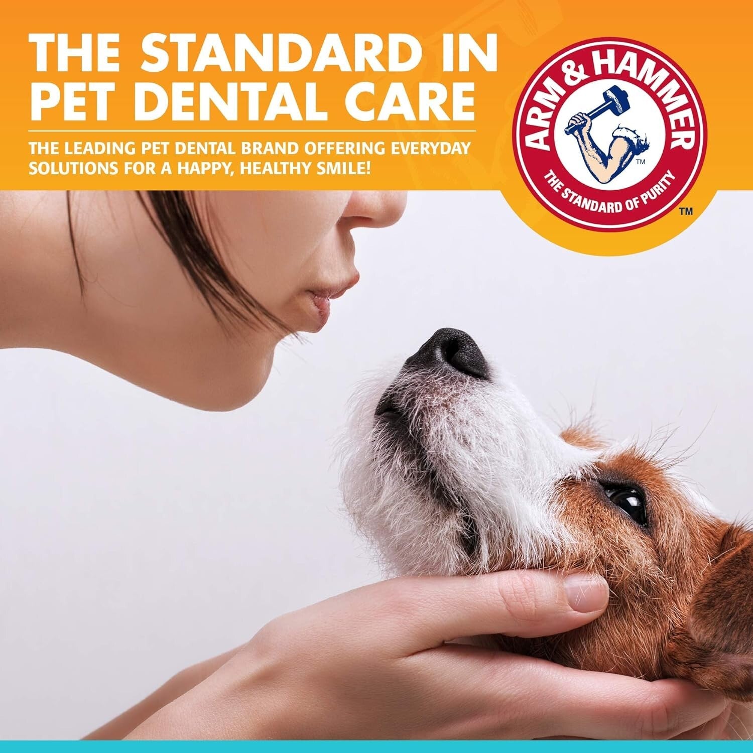 Gentle 3-Piece Dog Dental Kit for Tartar Reduction & Fresh Breath - 72 Pack