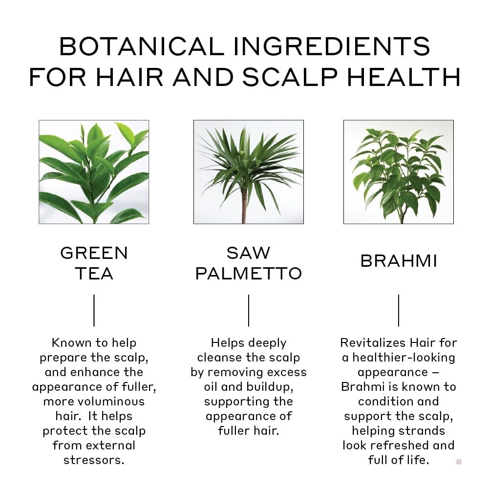 Color-Safe Revolve Thickening Shampoo – Plant-Based Solution for Thinning Hair