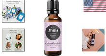 Load image into Gallery viewer, Premium Grade Lavender Spike Oil - 1 fl oz for Aromatherapy and Home Wellness