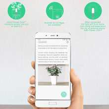 Load image into Gallery viewer, Smart Plant Monitor with Soil Moisture, Light, Temp &amp; Fertility Sensors - 2 Pack