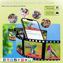 Load image into Gallery viewer, Ultimate Hummingbird Feeder with 4K Camera—AI Species Identifier &amp; Notifications