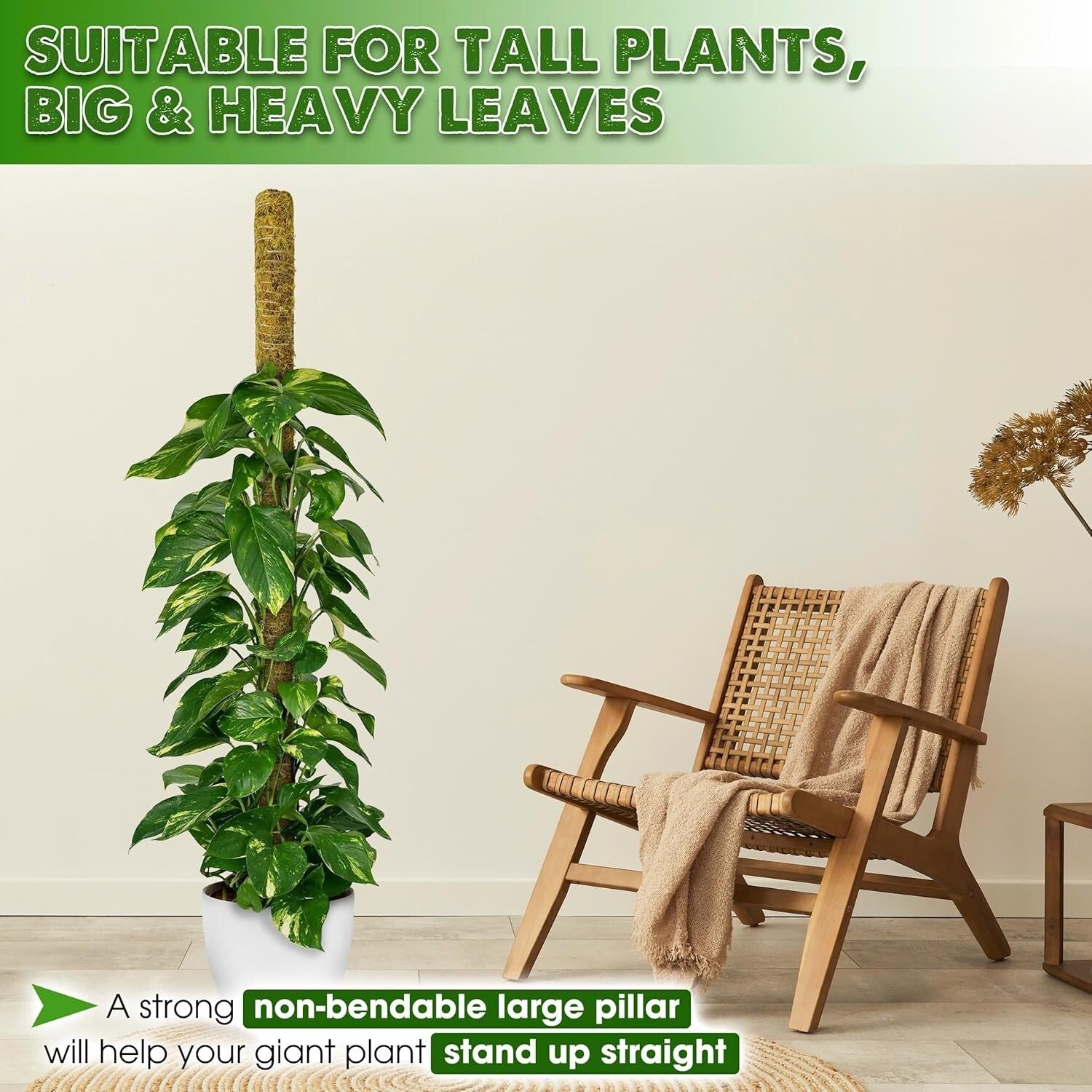 59'' Sturdy Moss Support Pole for Tall Plants - Perfect for Indoor Gardens