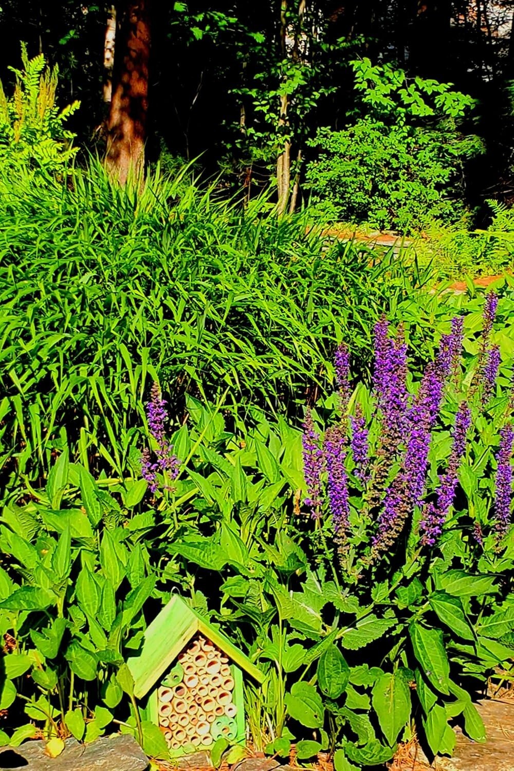 Eco-Friendly Mason Bee House with Bamboo Tubes - Attract Gentle Pollinators