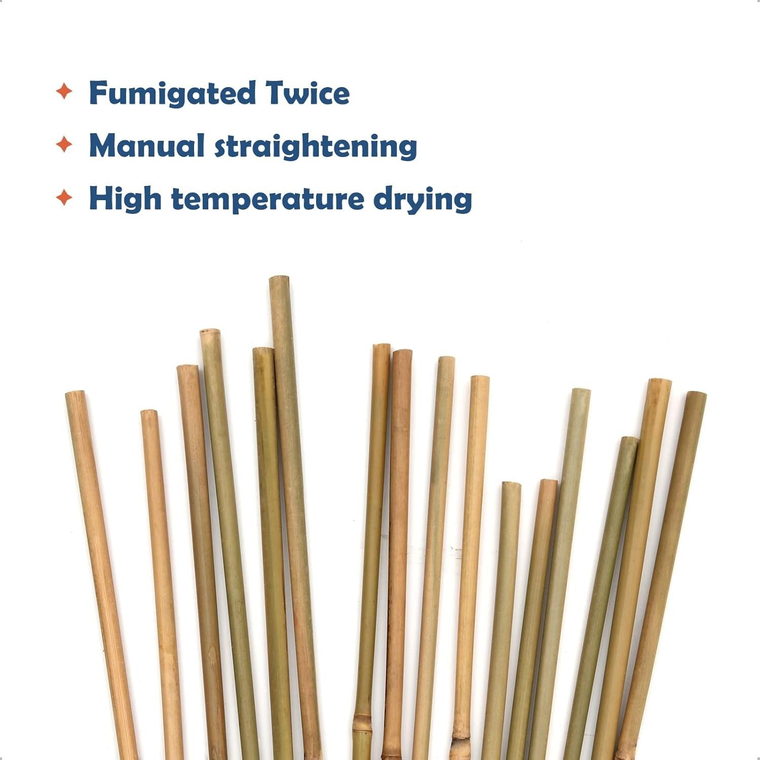 Eco-Friendly 6FT Bamboo Stakes – Ideal Support for Climbing Beans and Vines