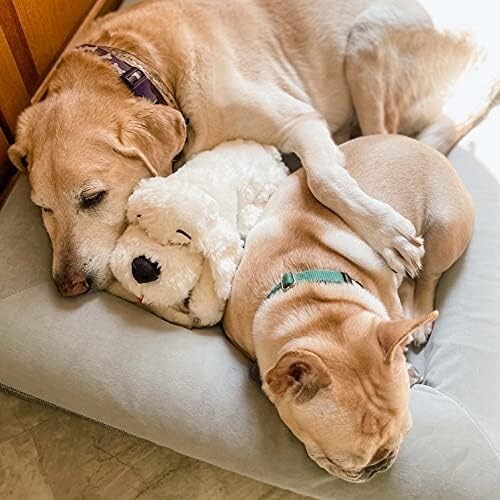 Snuggle Puppy Heartbeat Stuffed Toy - Calming Aid for Anxious Dogs in Golden