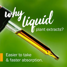 Load image into Gallery viewer, Expertly Crafted 4 oz Organic Sweet Annie Liquid Extract for Optimal Wellness
