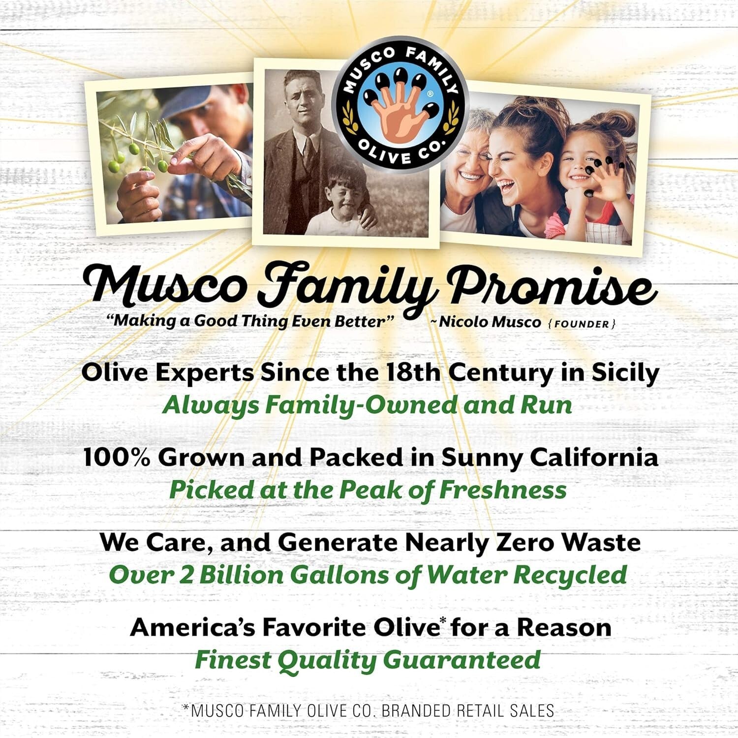 Delicious 12 Pack of Simply Olives Green Ripe Pitted Olives - Rich Buttery Taste