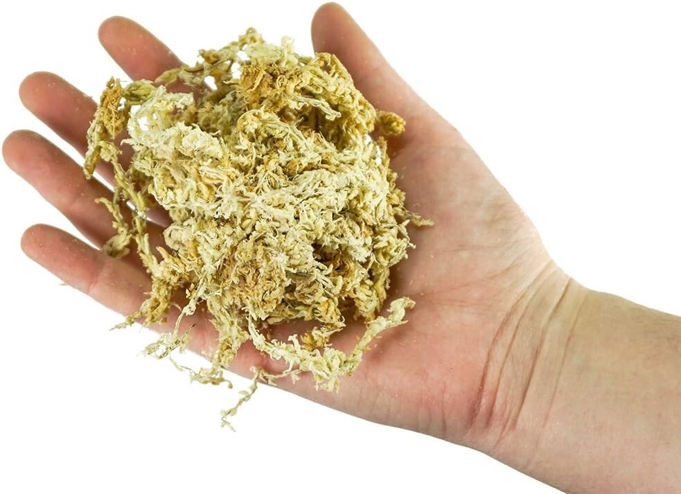 1 kg Tan New Zealand Sphagnum Moss - Superior Water Retention for Optimal Growth