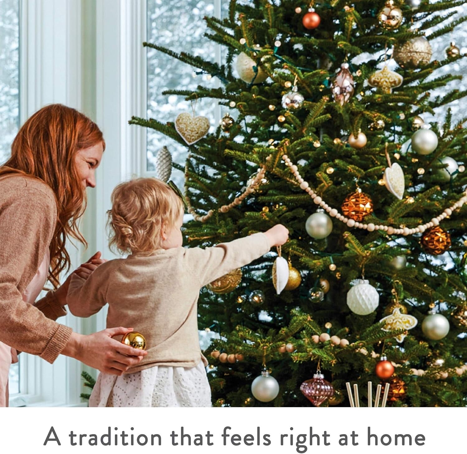 Frasier Fir Reed Diffuser Set - Elegant Green Glass with Long-Lasting Aroma