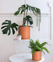 Load image into Gallery viewer, Handcrafted Terracotta Planters with Drainage and Saucer - Set of 3 Modern Pots