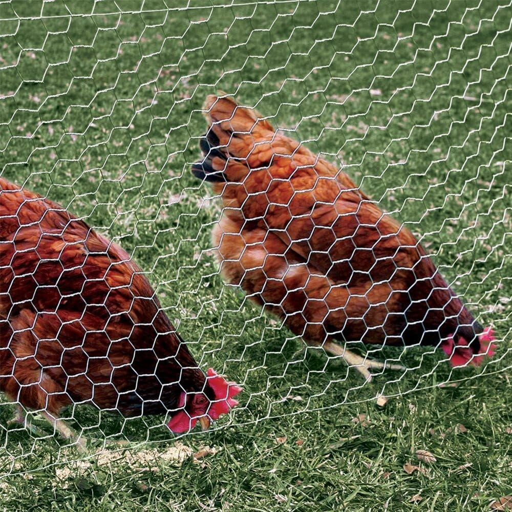 Heavy-Duty Chicken Wire 48"x150' - Perfect for Poultry Coops & Plant Protection