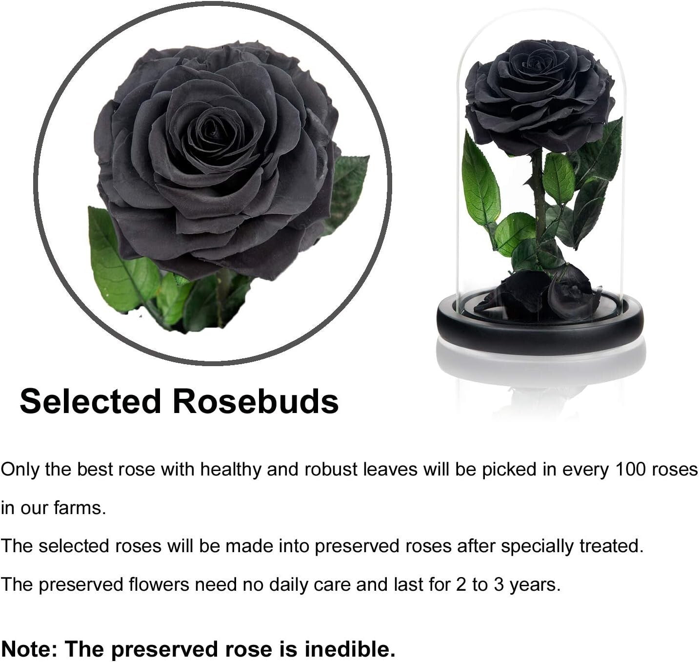 Elegant Black Rose Gift in Silk Box - Lasting Beauty for Mother’s Day & Beyond