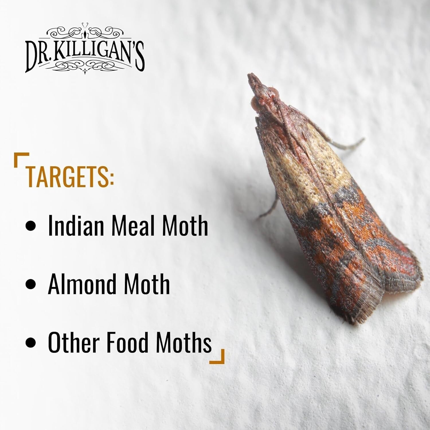 Dr. Killigan’s 20 Pack Pantry Moth Traps – Organic Moth Control with Pheromones