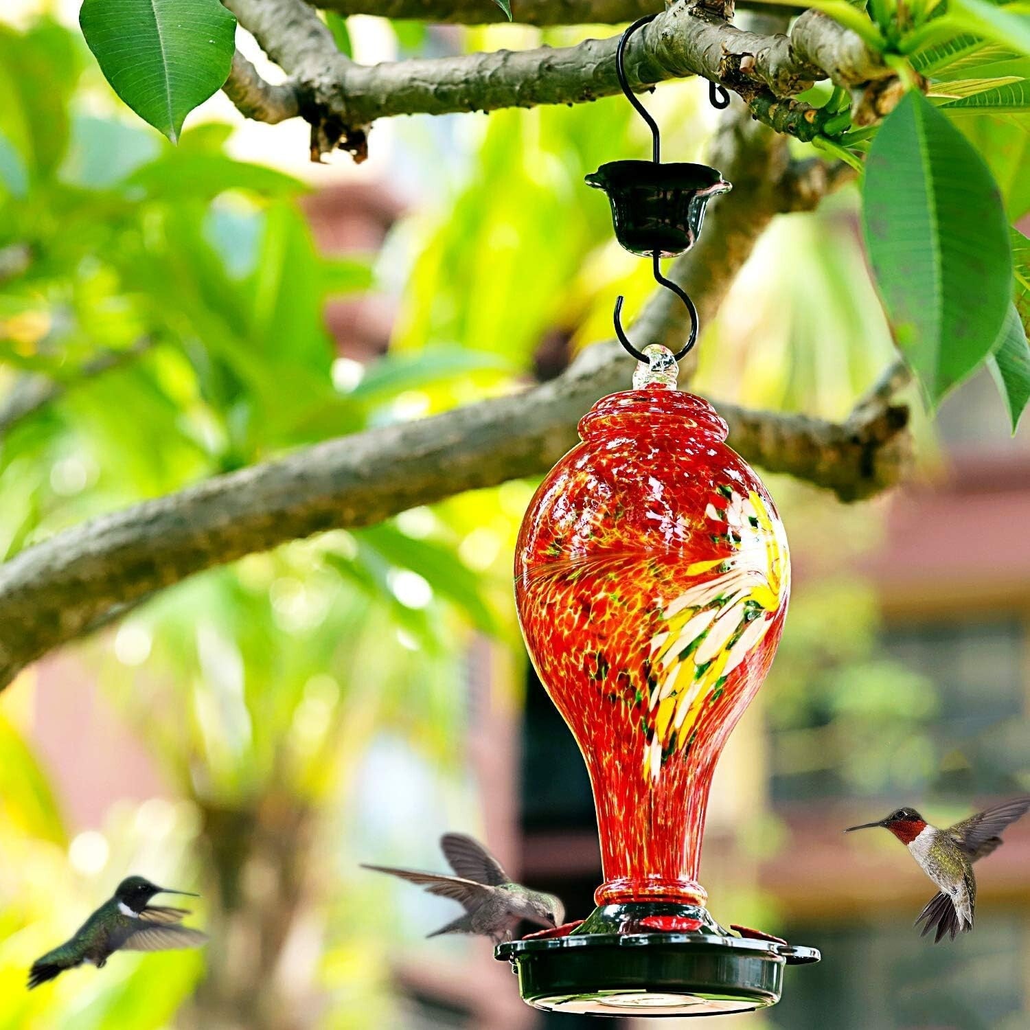 Large Capacity Hummingbird Feeder - Hand Blown Glass, Easy to Clean Design