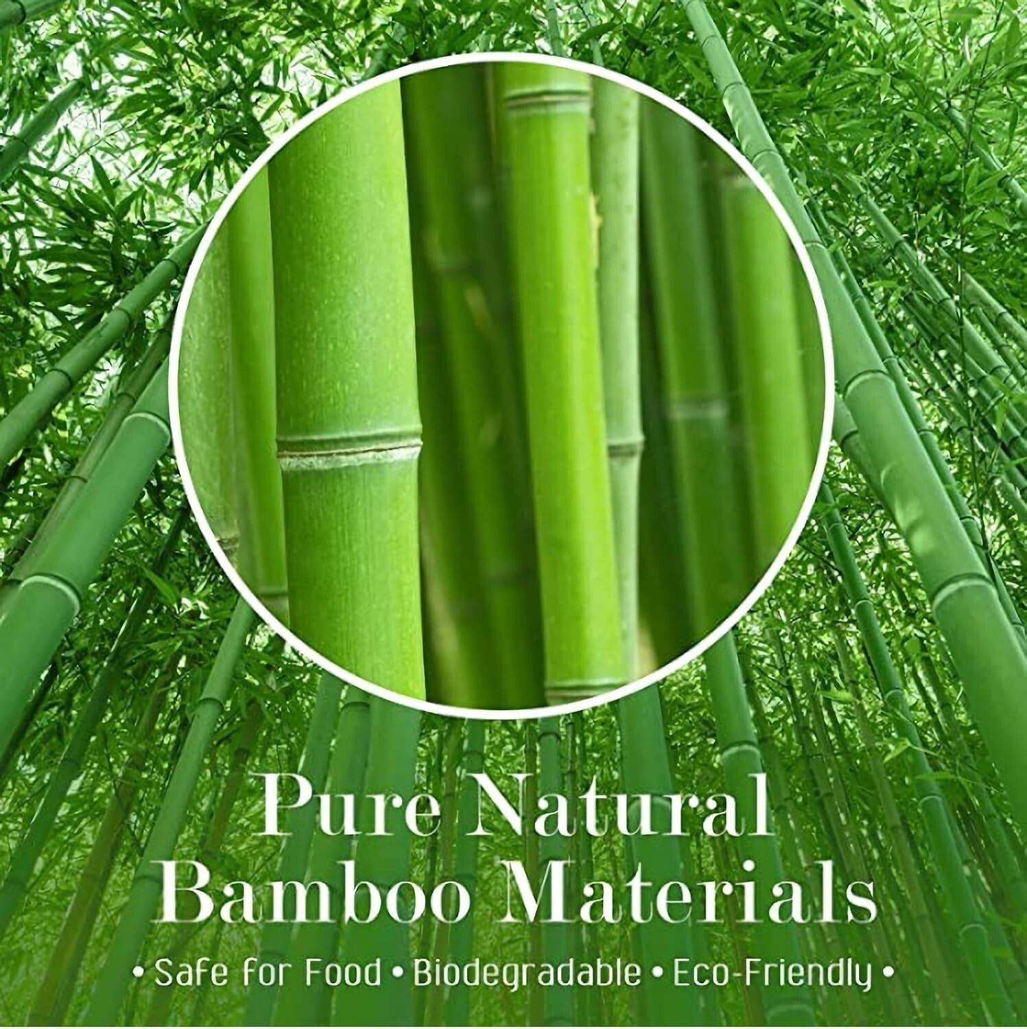 1000 Count Biodegradable Bamboo Skewers - 6 Inch Picks for Stunning Appetizers
