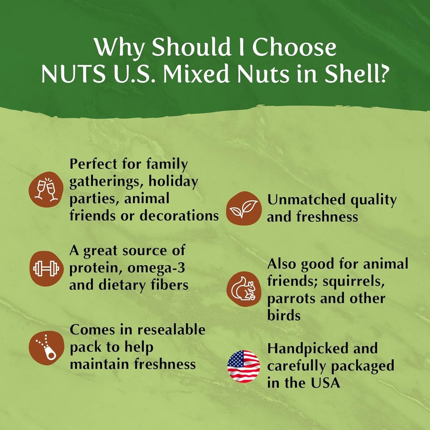 6 lbs Mixed Nuts in Shell: Almonds, Walnuts, Hazelnuts, Pecans & Brazil Nuts