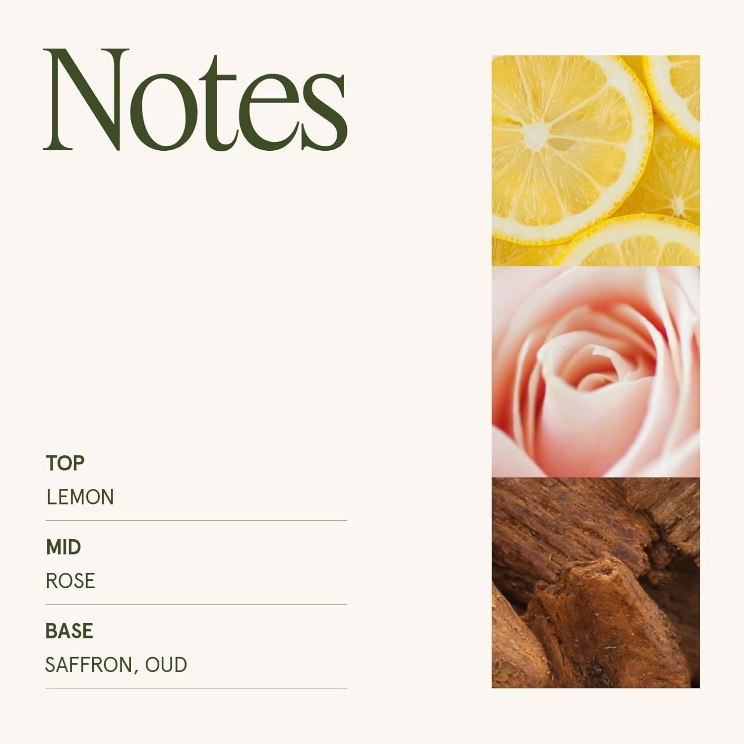 Artisanal 19 Oz Rose Noir Oud Candle - Elegant Glass & Eco-Conscious Design