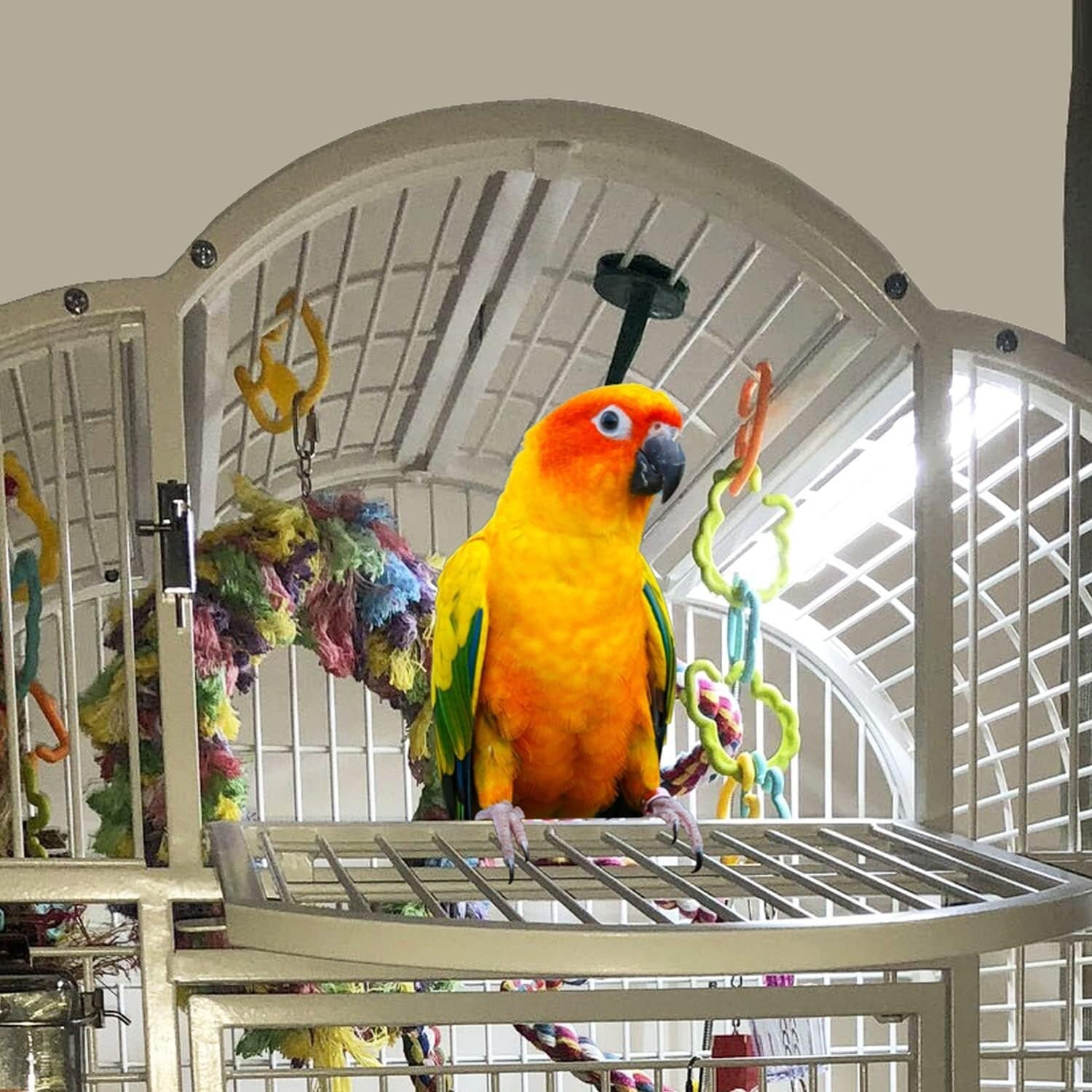 Veterinary Approved Bird Cage Light - Simulates Natural Light for Healthier Pets