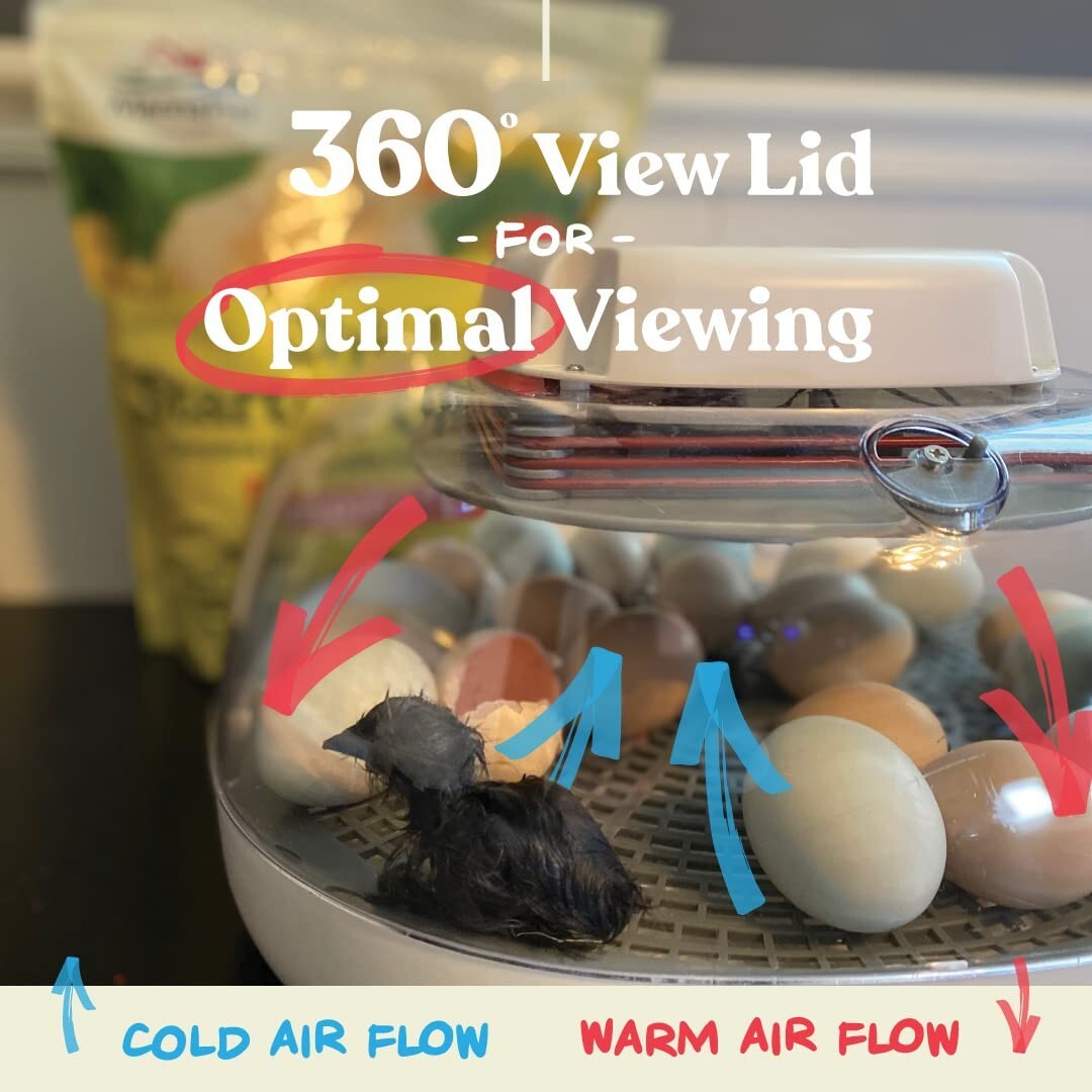 Compact Nurture Right Egg Incubator - 360 Visibility, Perfect for All Poultry